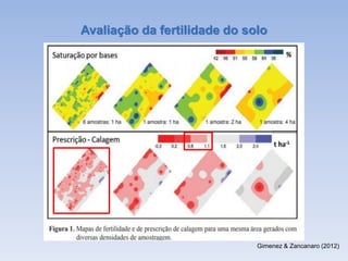 Gimenez & Zancanaro (2012)
Avaliação da fertilidade do solo
 