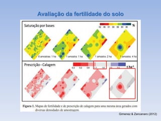 Gimenez & Zancanaro (2012)
Avaliação da fertilidade do solo
 