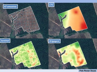 Sentinel
CTC
Krigagem
47 amostras
Foto Ronan Souza
 