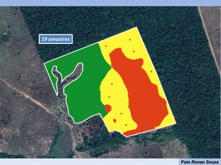 19 amostras
Foto Ronan Souza
 