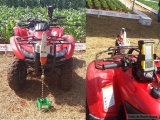 Fotos de Ronan Souza
 