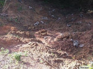 Manejo Sustentável do Solo
Práticas de controle de erosão
✓ Bacias de captação em estradas rurais
Ronan Souza
 