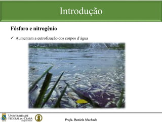 Introdução
Profa. Daniela Machado
 Aumentam a eutrofização dos corpos d´água
Fósforo e nitrogênio
 