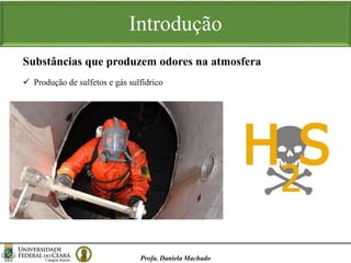 Introdução
Profa. Daniela Machado
 Produção de sulfetos e gás sulfídrico
Substâncias que produzem odores na atmosfera
 