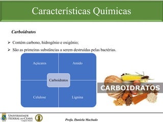 Características Químicas
Profa. Daniela Machado
 Contém carbono, hidrogênio e oxigênio;
 São as primeiras substâncias a serem destruídas pelas bactérias.
Carboidratos
Açúcares Amido
Celulose Lignina
Carboidratos
 