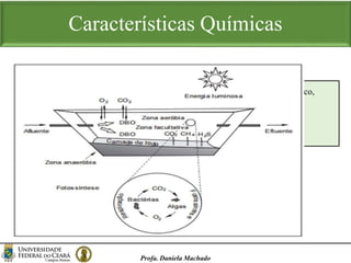 Características Químicas
Profa. Daniela Machado
 Os produtos mais comuns envolvidos na degradação anaeróbia são gás carbônico,
metano, amônia, ácidos graxos, mercaptanas, fenóis e aminoácidos.
 A total depleção do oxigênio dissolvido ocasiona na morte da biota aquática
dependente do oxigênio e eutrofização do corpo d'água.
DBO
 