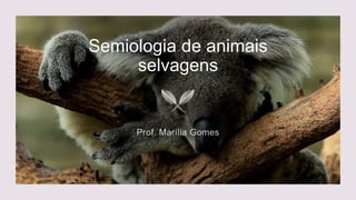 Semiologia de animais
selvagens
 