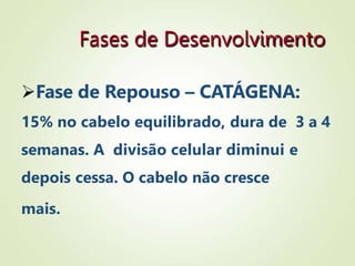 Fases de Desenvolvimento
Fase de Repouso – CATÁGENA:
15% no cabelo equilibrado, dura de 3 a 4
semanas. A divisão celular diminui e
depois cessa. O cabelo não cresce
mais.
 