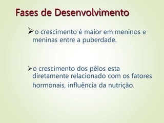 Fases de Desenvolvimento
o crescimento é maior em meninos e
meninas entre a puberdade.
o crescimento dos pêlos esta
diretamente relacionado com os fatores
hormonais, influência da nutrição.
 