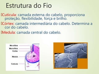 Estrutura do Fio
🠶Cutícula: camada externa do cabelo, proporciona
proteção, flexibilidade, força e brilho.
🠶Córtex: camada intermediária do cabelo. Determina a
cor do cabelo.
🠶Medula: camada central do cabelo.
 