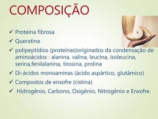 COMPOSIÇÃO
 Proteína fibrosa
 Queratina
 polipeptídios (proteínas)originados da condensação de
aminoácidos : alanina, valina, leucina, isoleucina,
serina,fenilalanina, tirosina, prolina
 Di-ácidos monoaminas (ácido aspártico, glutâmico)
 Compostos de enxofre (cistina)
 Hidrogênio, Carbono, Oxigênio, Nitrogênio e Enxofre.
 
