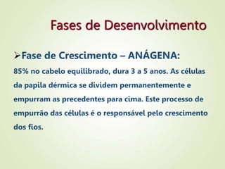 Fases de Desenvolvimento
Fase de Crescimento – ANÁGENA:
85% no cabelo equilibrado, dura 3 a 5 anos. As células
da papila dérmica se dividem permanentemente e
empurram as precedentes para cima. Este processo de
empurrão das células é o responsável pelo crescimento
dos fios.
 