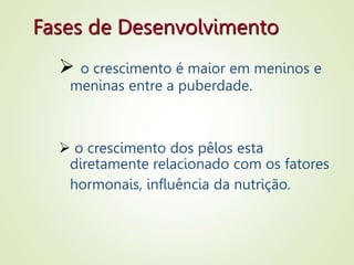 Fases de Desenvolvimento
 o crescimento é maior em meninos e
meninas entre a puberdade.
 o crescimento dos pêlos esta
diretamente relacionado com os fatores
hormonais, influência da nutrição.
 