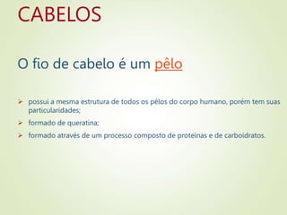 CABELOS
O fio de cabelo é um pêlo
 possui a mesma estrutura de todos os pêlos do corpo humano, porém tem suas
particularidades;
 formado de queratina;
 formado através de um processo composto de proteínas e de carboidratos.
 