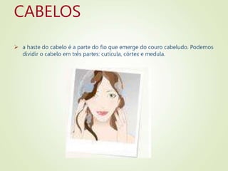 CABELOS
 a haste do cabelo é a parte do fio que emerge do couro cabeludo. Podemos
dividir o cabelo em três partes: cutícula, córtex e medula.
 