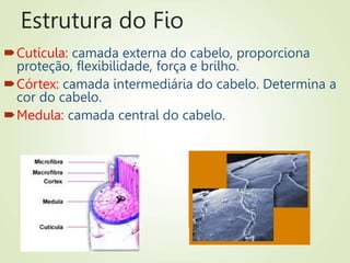 Estrutura do Fio
Cutícula: camada externa do cabelo, proporciona
proteção, flexibilidade, força e brilho.
Córtex: camada intermediária do cabelo. Determina a
cor do cabelo.
Medula: camada central do cabelo.
 