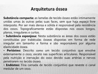Arquitetura óssea
Substância compacta: as lamelas de tecido ósseo estão intimamente
unidas umas às outras pelas suas faces, sem que haja espaço livre
interposto. Por ser mais densa e sólida é responsável pela resistência
dos ossos. Topograficamente estão dispostas nos ossos longos,
planos, irregulares e curtos.
• Substância esponjosa: Nesta substância as áreas dos ossos estão
constituídas por trabéculas ósseas dispostas em forma de rede
irregular em tamanho e forma e são responsáveis por alguma
elasticidade óssea.
• Periósteo: Descrito como um tecido conjuntivo que envolve
externamente o osso, exceto nas superfícies articulares. Responsável
pela nutrição e inervação do osso devido suas artérias e nervos
penetrarem no tecido ósseo.
• Endósteo: Fina camada de tecido conjuntivo que reveste o canal
medular de um osso.
 