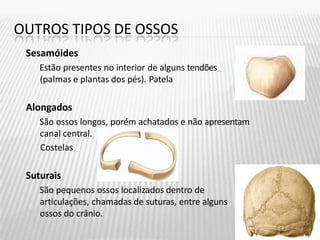 OUTROS TIPOS DE OSSOS
Sesamóides
Estão presentes no interior de alguns tendões
(palmas e plantas dos pés). Patela
Alongados
São ossos longos, porém achatados e não apresentam
canal central.
Costelas
Suturais
São pequenos ossos localizados dentro de
articulações, chamadas de suturas, entre alguns
ossos do crânio.
 