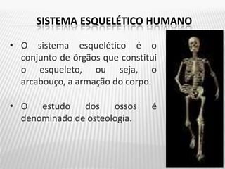 SISTEMA ESQUELÉTICO HUMANO
• O sistema esquelético é o
conjunto de órgãos que constitui
o esqueleto, ou seja, o
arcabouço, a armação do corpo.
• O estudo dos ossos é
denominado de osteologia.
 