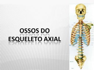 OSSOS DO
ESQUELETO AXIAL
 