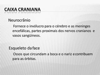 CAIXA CRANIANA
Neurocrânio
Fornece o invólucro para o cérebro e as meninges
encefálicas, partes proximais dos nervos cranianos e
vasos sangüíneos.
Esqueleto daface
Ossos que circundam a boca e o nariz econtribuem
para as órbitas.
 