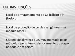 OUTRAS FUNÇÕES
• Local de armazenamento de Ca (cálcio) e P
(fósforo)
• Local de produção de células sangüíneas (na
medula óssea)
• Sistema de alavanca que, movimentada pelos
músculos, permitem o deslocamento do corpo
no todo e em partes.
 