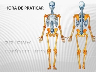 HORA DE PRATICAR
 