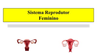 Sistema Reprodutor
Feminino
 