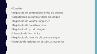 • Funções:
• Regulação da composição iônica do sangue
• Manutenção da osmolaridade do sangue
• Regulação do volume sanguíneo
• Regulação da pressão arterial
• Regulação do pH do sangue
• Liberação de hormônios
• Regulação do nível de glicose no sangue
• Excreção de resíduos e substâncias estranhas
 