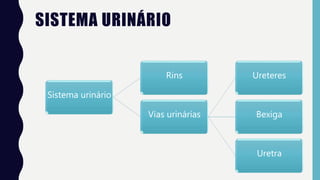 SISTEMA URINÁRIO
Sistema urinário
Rins
Vias urinárias
Ureteres
Bexiga
Uretra
 