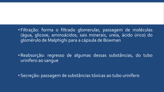 • Filtração: forma o filtrado glomerular, passagem de moléculas
(água, glicose, aminoácidos, sais minerais, ureia, ácido úrico) do
glomérulo de Malphighi para a cápsula de Bowman
• Reabsorção: regresso de algumas dessas substâncias, do tubo
urinífero ao sangue
• Secreção: passagem de substâncias tóxicas ao tubo urinífero
 