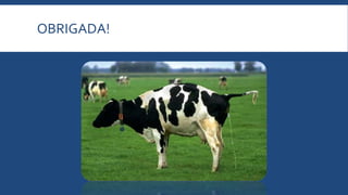 OBRIGADA!
 
