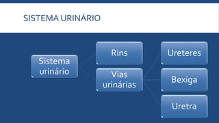 SISTEMA URINÁRIO
Sistema
urinário
Rins
Vias
urinárias
Ureteres
Bexiga
Uretra
 