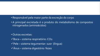 • Responsável pela maior parte da excreção do corpo
• A principal excretada é o produto do metabolismo de compostos
nitrogenados (aminoácidos)
• Outras excretas:
Boca – sistema respiratório: CO2
Pele – sistema tegumentar: suor (língua)
Ânus – sistema digestório: fezes
 
