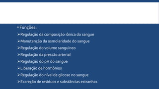 • Funções:
Regulação da composição iônica do sangue
Manutenção da osmolaridade do sangue
Regulação do volume sanguíneo
Regulação da pressão arterial
Regulação do pH do sangue
Liberação de hormônios
Regulação do nível de glicose no sangue
Excreção de resíduos e substâncias estranhas
 