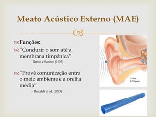 
 Funções:
 “Conduzir o som até a
membrana timpânica”
Russo e Santos (1993)
 “Provê comunicação entre
o meio ambiente e a orelha
média”
Bonaldi et al. (2003)
Meato Acústico Externo (MAE)
 