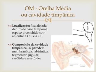 
 Localização: fica alojada
dentro do osso temporal,
espaço preenchido com
ar, entre a OE e a OI
 Composição da cavidade
timpânica - 6 paredes:
membranácea, labiríntica,
tegmentar, jugular,
carótida e mastóidea
OM - Orelha Média
ou cavidade timpânica
 