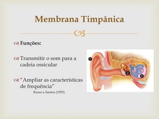 
 Funções:
 Transmitir o som para a
cadeia ossicular
 “Ampliar as características
de frequência”
Russo e Santos (1993)
Membrana Timpânica
 