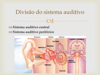 
 Sistema auditivo central
 Sistema auditivo periférico
Divisão do sistema auditivo
 
