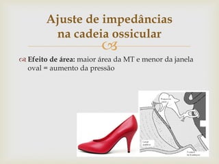 
 Efeito de área: maior área da MT e menor da janela
oval = aumento da pressão
Ajuste de impedâncias
na cadeia ossicular
 