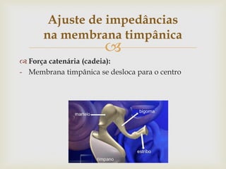 
 Força catenária (cadeia):
- Membrana timpânica se desloca para o centro
Ajuste de impedâncias
na membrana timpânica
 
