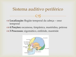 
 Localização: Região temporal da cabeça – osso
temporal
 4 Porções: escamosa, timpânica, mastóidea, petrosa
 3 Processos: zigomático, estilóide, mastóide
Sistema auditivo periférico
 