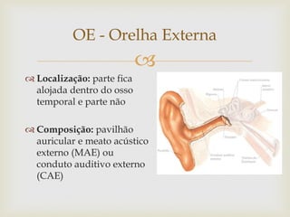 
 Localização: parte fica
alojada dentro do osso
temporal e parte não
 Composição: pavilhão
auricular e meato acústico
externo (MAE) ou
conduto auditivo externo
(CAE)
OE - Orelha Externa
 