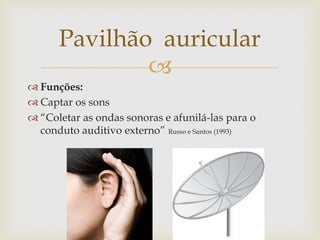 
 Funções:
 Captar os sons
 “Coletar as ondas sonoras e afunilá-las para o
conduto auditivo externo” Russo e Santos (1993)
Pavilhão auricular
 