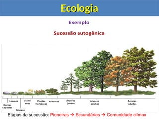 Aula de Sucessão Ecológica e dinâmica das espécies | PPT