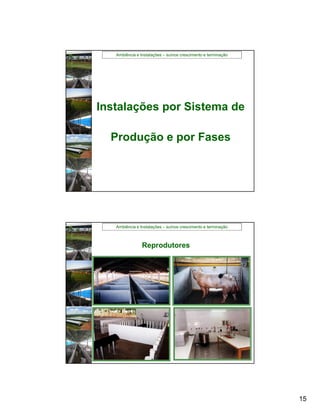 Ambiência e Instalações – suínos crescimento e terminação




Instalações por Sistema de

  Produção e por Fases




   Ambiência e Instalações – suínos crescimento e terminação



                Reprodutores




                                                               15
 