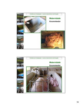 Ambiência e Instalações – suínos crescimento e terminação



                                       Maternidade
                                       Escamoteador




Ambiência e Instalações – suínos crescimento e terminação



                                       Maternidade
                                       Escamoteador




                                                            18
 