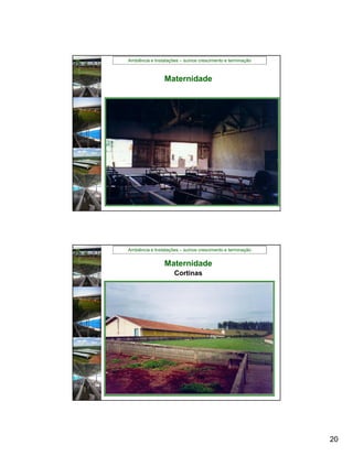 Ambiência e Instalações – suínos crescimento e terminação



                Maternidade




Ambiência e Instalações – suínos crescimento e terminação


                Maternidade
                     Cortinas




                                                            20
 