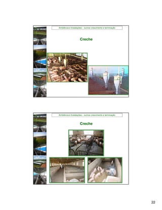 Ambiência e Instalações – suínos crescimento e terminação




                     Creche




Ambiência e Instalações – suínos crescimento e terminação



                     Creche




                                                            22
 