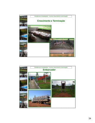 Ambiência e Instalações – suínos crescimento e terminação


    Crescimento e Terminação




Ambiência e Instalações – suínos crescimento e terminação

              Embarcador




                                                            24
 